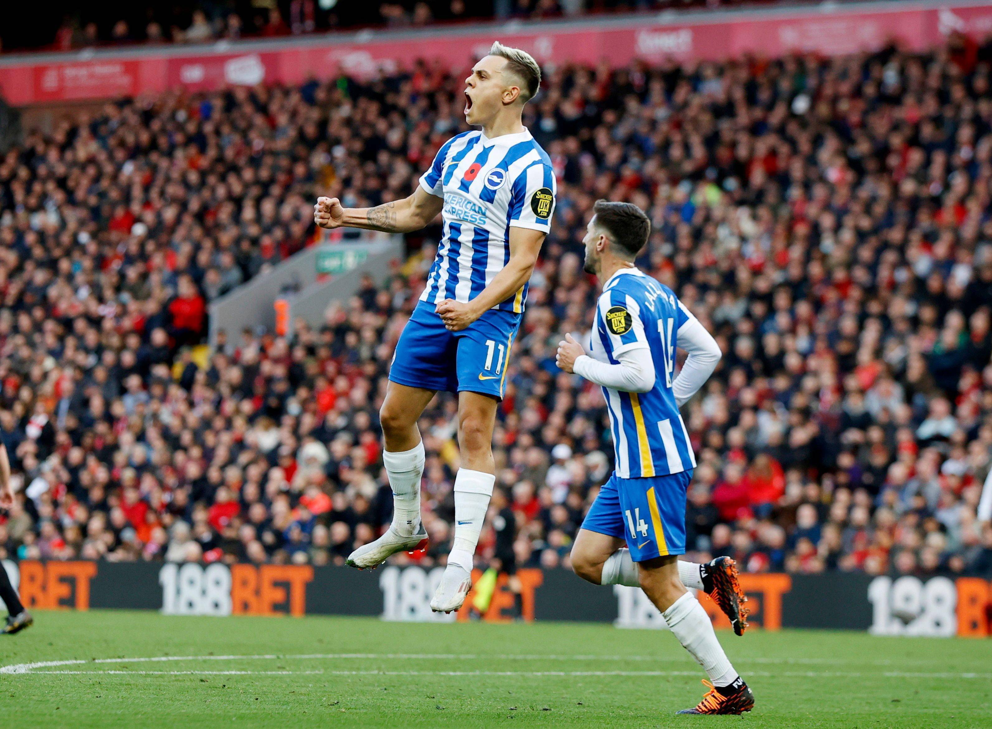 将为我们展 将为我们展